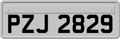 PZJ2829