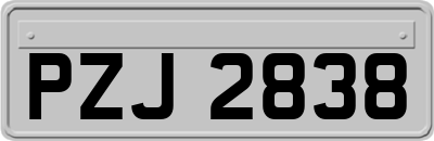 PZJ2838