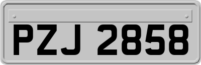 PZJ2858