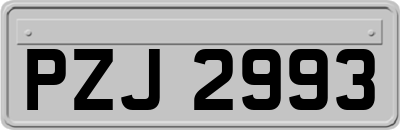 PZJ2993