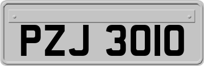 PZJ3010