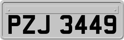 PZJ3449