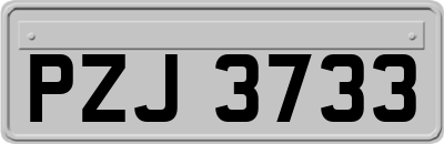 PZJ3733