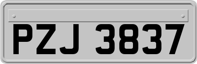 PZJ3837