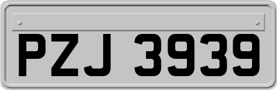 PZJ3939