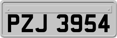 PZJ3954