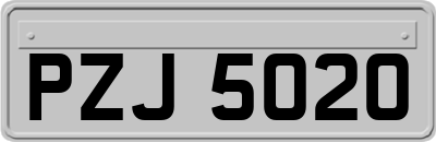 PZJ5020