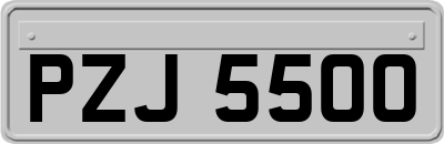 PZJ5500