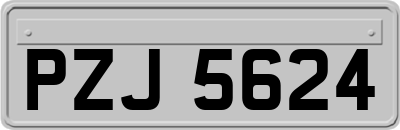 PZJ5624