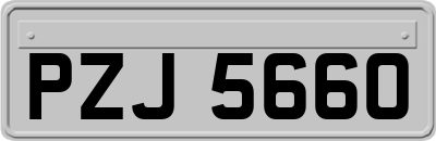 PZJ5660