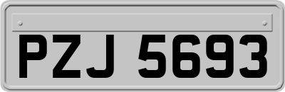 PZJ5693