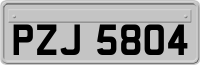 PZJ5804