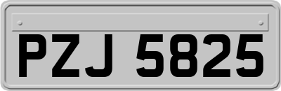 PZJ5825