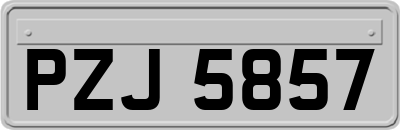 PZJ5857