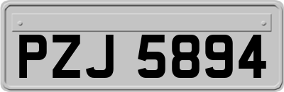 PZJ5894