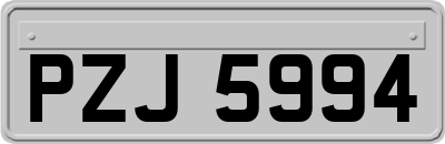 PZJ5994