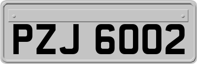 PZJ6002