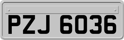 PZJ6036