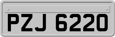 PZJ6220