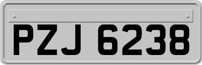 PZJ6238