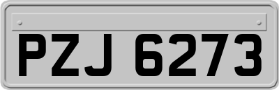 PZJ6273