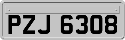 PZJ6308