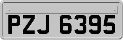 PZJ6395