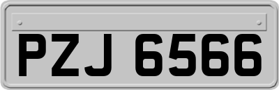 PZJ6566