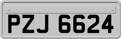 PZJ6624