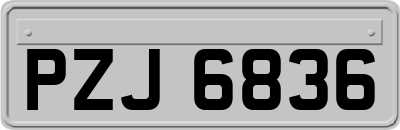 PZJ6836