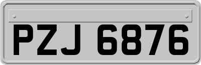 PZJ6876