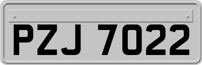 PZJ7022