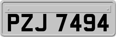 PZJ7494