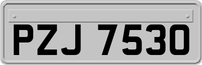 PZJ7530