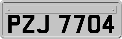 PZJ7704