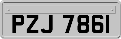 PZJ7861