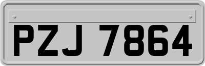 PZJ7864