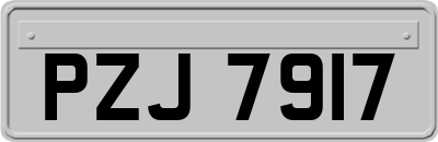 PZJ7917