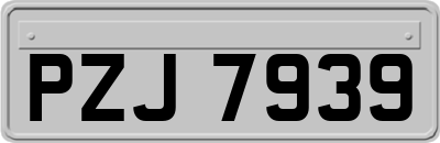 PZJ7939