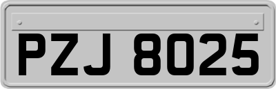 PZJ8025