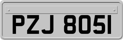 PZJ8051