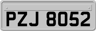 PZJ8052