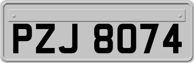 PZJ8074