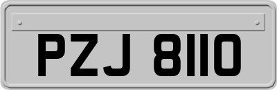 PZJ8110