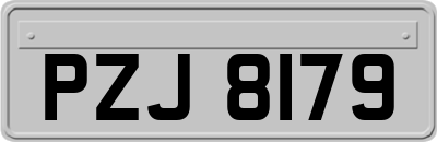 PZJ8179