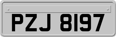 PZJ8197