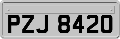 PZJ8420