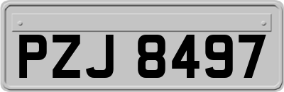 PZJ8497