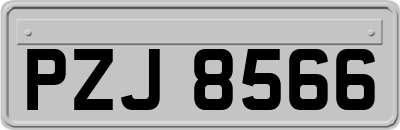 PZJ8566