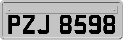 PZJ8598